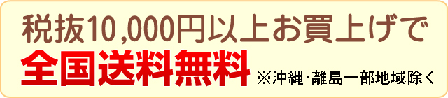 全国送料無料